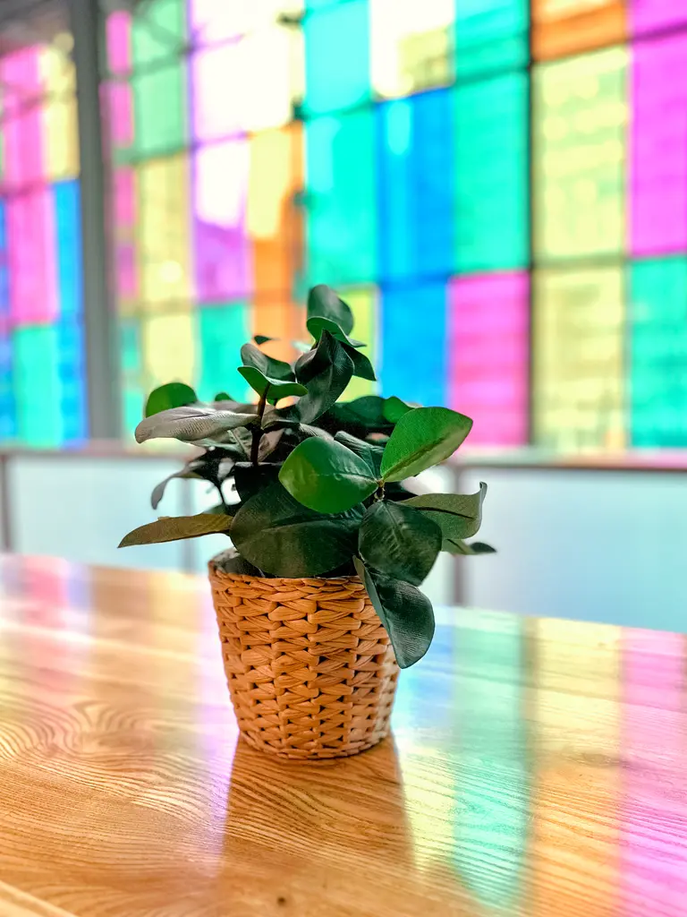 Palais Des Congrès Verdure FR