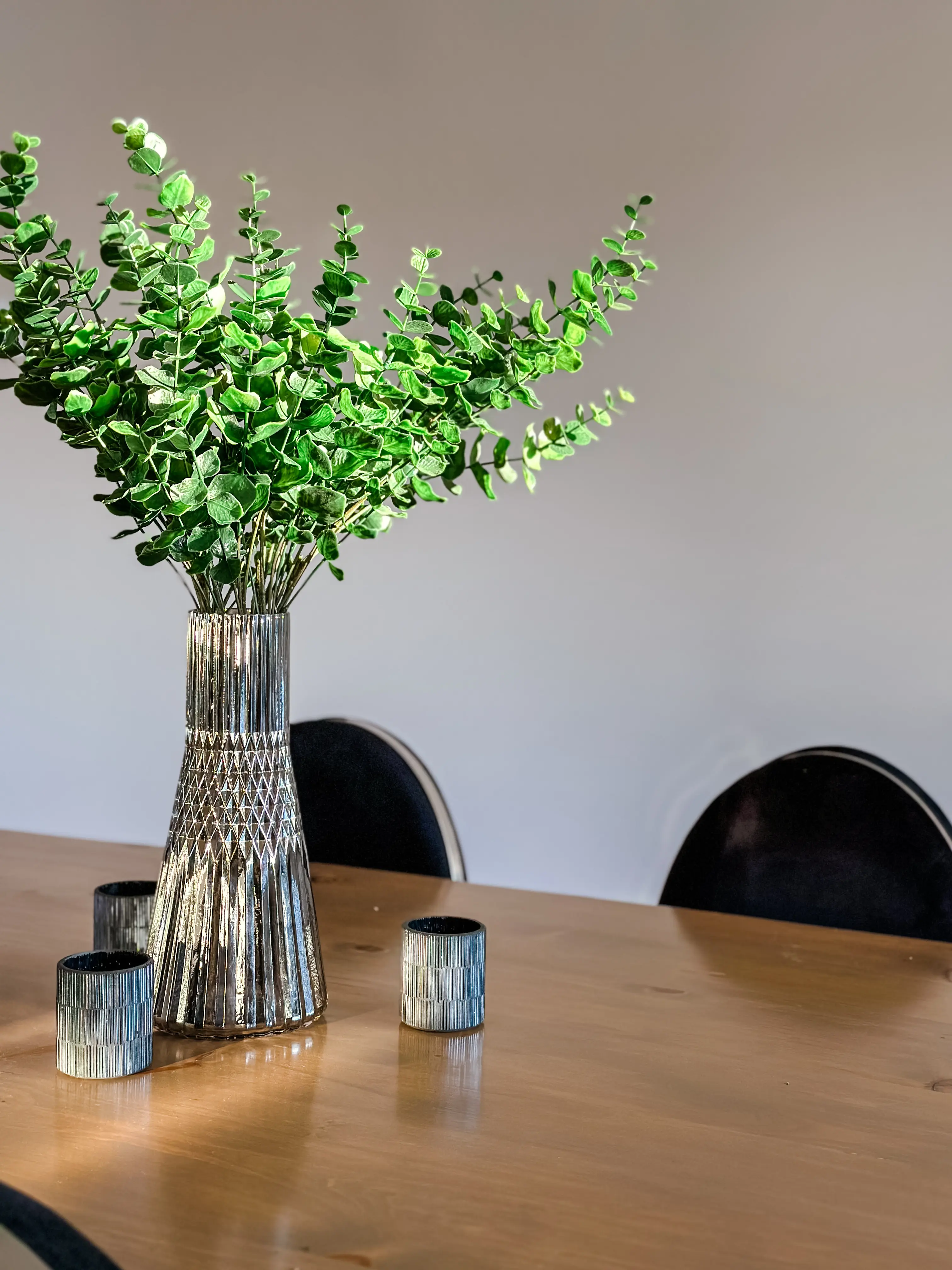 Plante Eucalyptus Tige - Vert utilisé dans le cadre de la réalisation Autres Versailles Eucalyptus Barcelone Eclipse FR