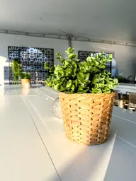 Plante Origan artificielle - 8.75" H - Vert utilisé dans le cadre de la réalisation 100ème Prévost Pot Jacinthe Origan FR