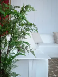 Artificial Australian fern tree plant - 50" H - Green used in the inspiration Plaines D'abraham Img 2813 EN