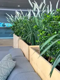 Artificial Cattail plant - 37" H - Green used in the inspiration Shaw Center Img 2202 EN