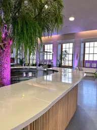 Scandinave bar 6' - Assembly wooden batten used in the inspiration Marché Bonsecours Img 1607 EN