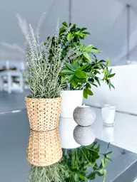 Plante Schefflera artificielle - 20" H - Vert utilisé dans le cadre de la réalisation 100ème Prévost Accessoires Schefflera Brava Frosty Jacinthe Lavande FR