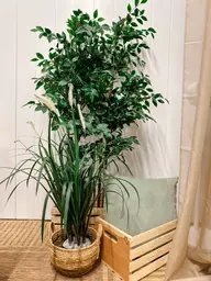 Mur - 4' L x 7.5' H - Bois blanc utilisé dans le cadre de la réalisation Accessoires 002 FR