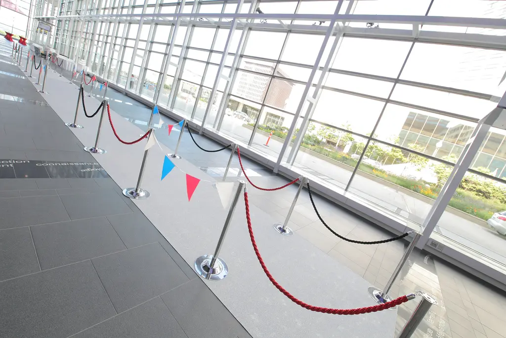 Tapis Europeen Argent Poteau Foule Cordon 2