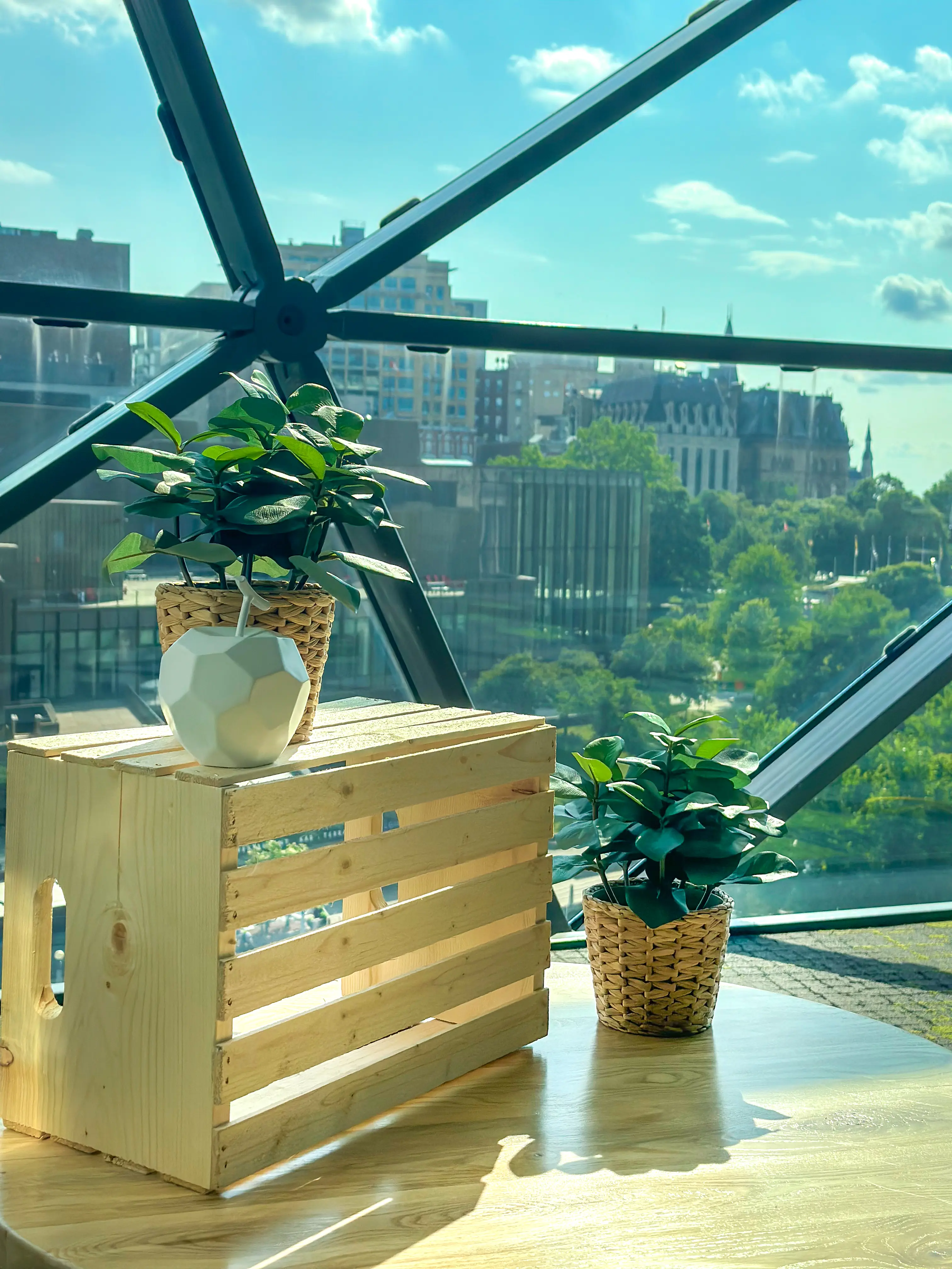 Plante Clusia artificielle - 12.5" H - Vert utilisé dans le cadre de la réalisation Shaw Center Img 2278 FR
