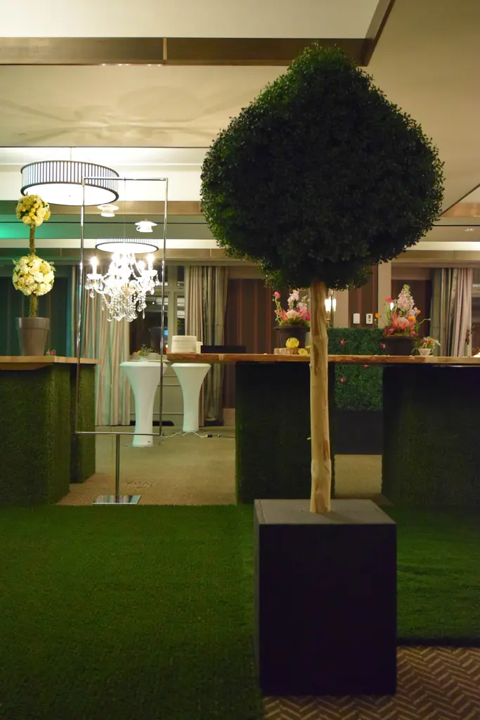 Boxwood Casino 2