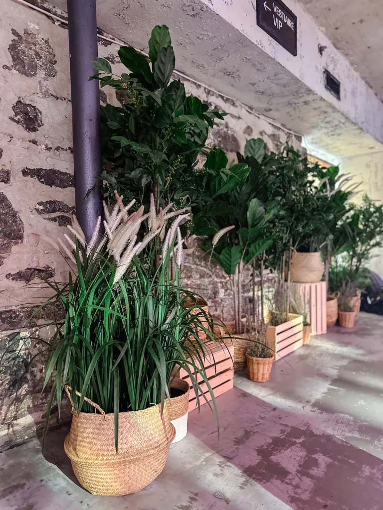 Ncg Verdure EN