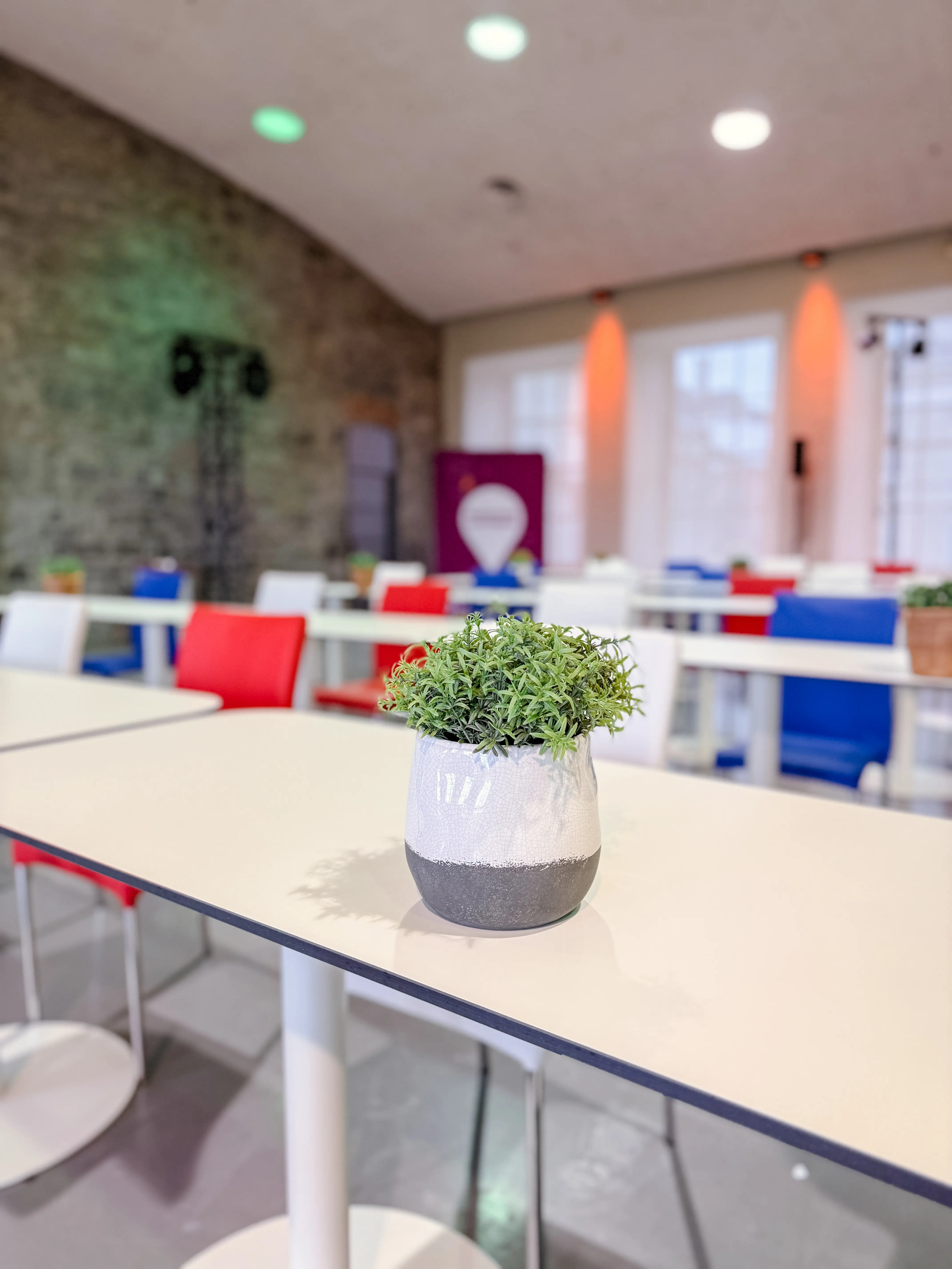 Artificial Rosemary plant - 8.75'' H - Green used in the inspiration Marché Bonsecours   Tout France   Saq Corsica EN