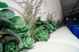 Artificial Succulent plant - 4.75'' H - Green used in the inspiration Verdure 006 EN