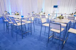 Seattle bar back - White used in the inspiration Broadway Bar Stool   White Blue Carpet
