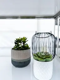 Artificial Succulent plant - 4.75'' H - Green used in the inspiration 100ème Prévost Accessoires Aria Pilea Martha Succulente Lanterne EN