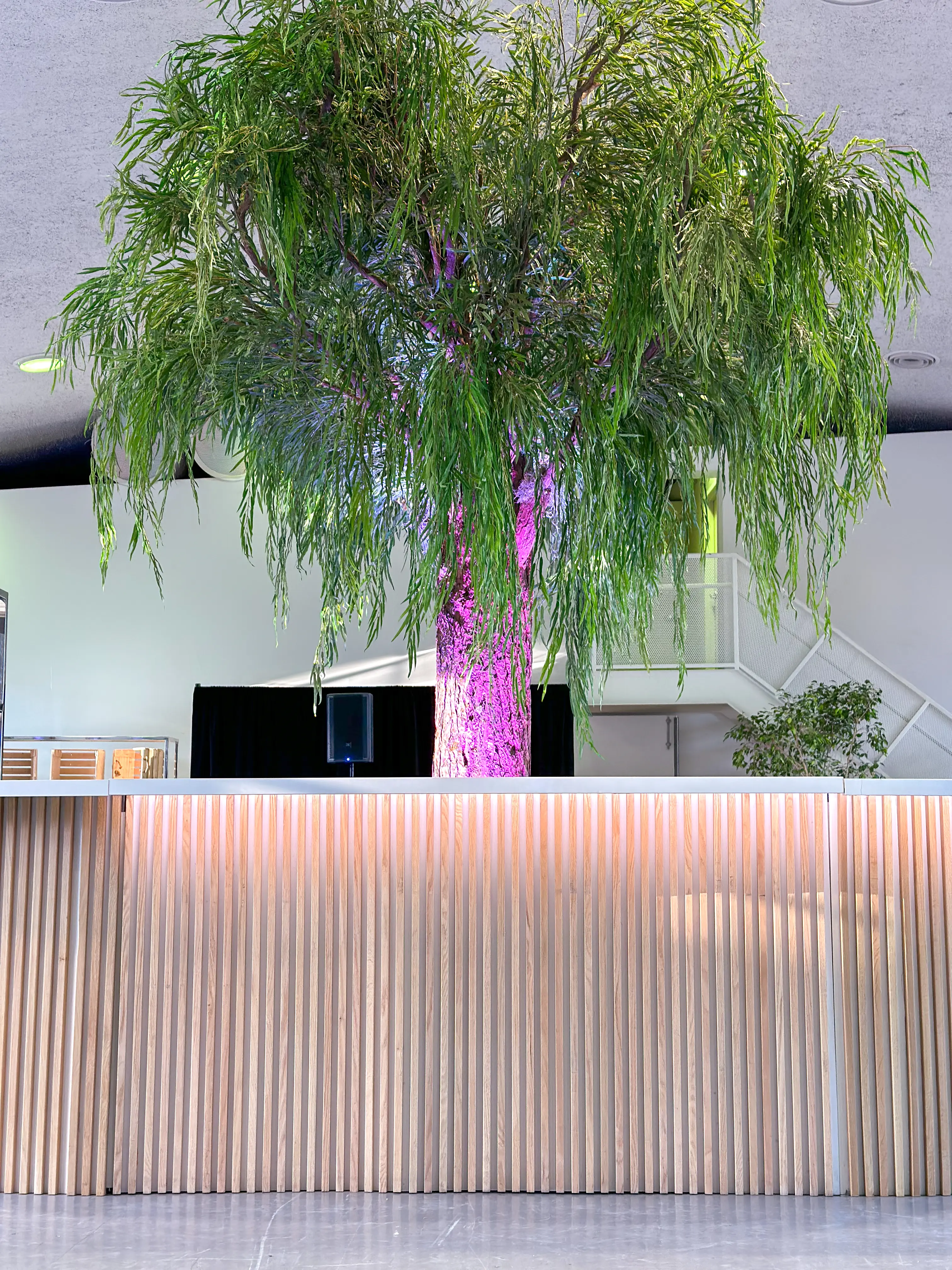 Scandinave bar 6' - Assembly wooden batten used in the inspiration Marché Bonsecours Img 1580 EN
