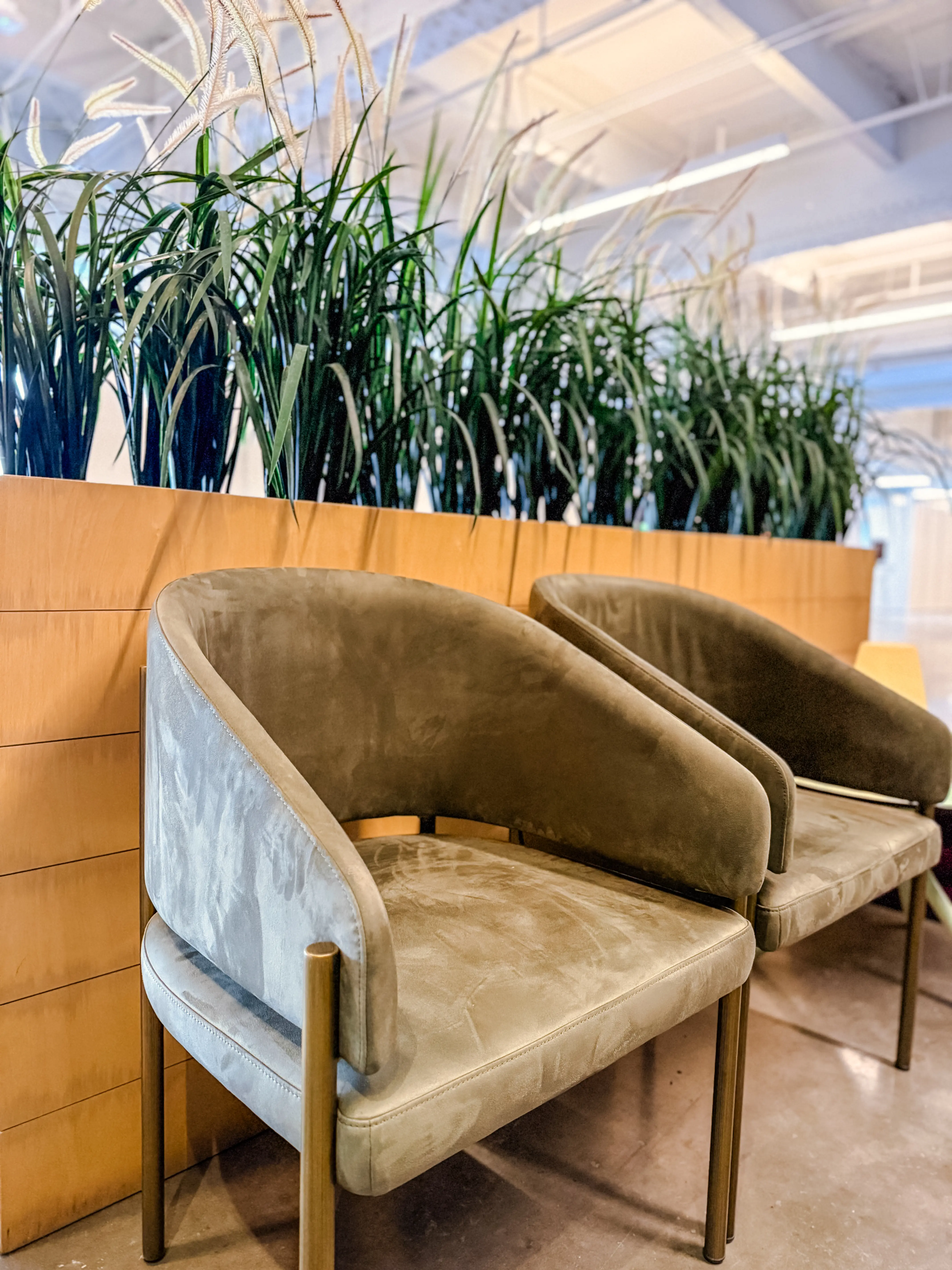 Artificial Cattail plant - 37" H - Green used in the inspiration Grand Quai   Expérience 2025 James EN