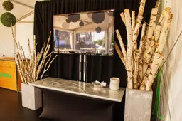 Birch branch - 48" to 72" used in the inspiration Vase Branches Bouleaux Tente
