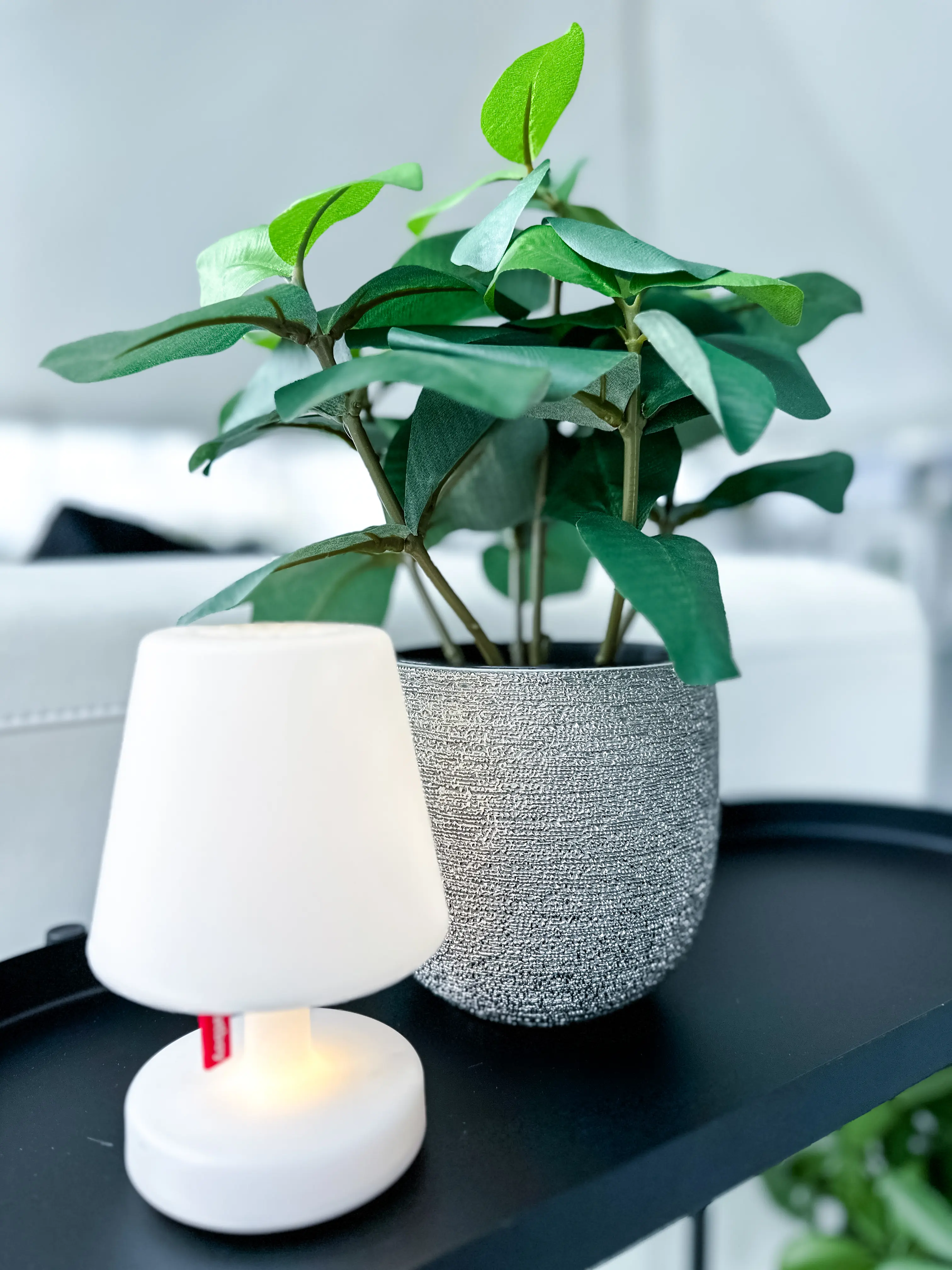 Plante Clusia artificielle - 12.5" H - Vert utilisé dans le cadre de la réalisation 100ème Prévost Accessoires Franklin Brava FR