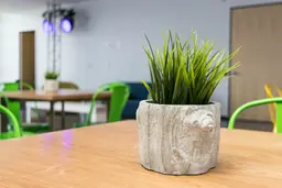 Artificial Greenery plant - 8.5" H - Green used in the inspiration Vase Arbre Moyen