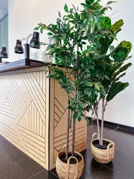 Artificial Fiddle Leaf Fig plant - 58" H - Green used in the inspiration Mnbaq Arbre EN