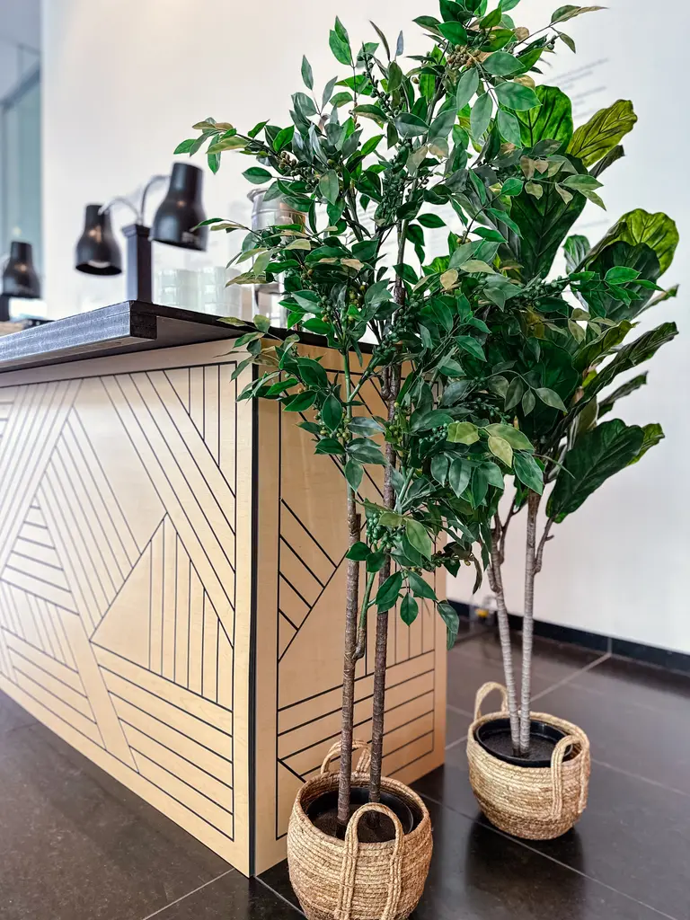 Mnbaq Arbre EN