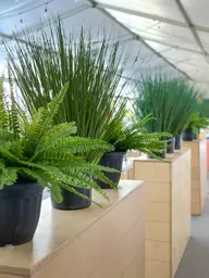 Artificial Fern plant - 21'' H - Green used in the inspiration Plaines D'abraham Img 2858 EN