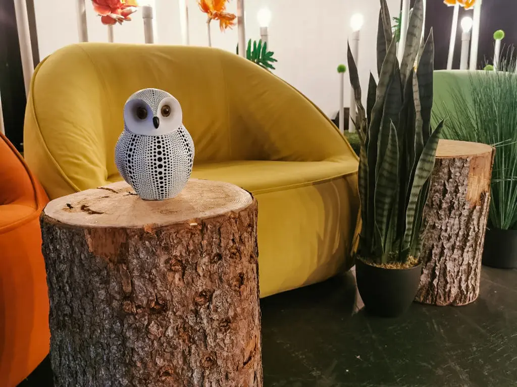 Malibu Jaune Sanseveria Buche Hibou