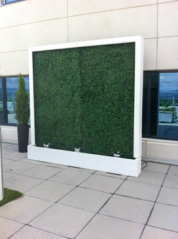 Mur - 8' L x 8' H - Cadre bois blanc - Buis utilisé dans le cadre de la réalisation Imagejpeg 2