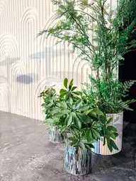 Plante Schefflera artificielle - 20" H - Vert utilisé dans le cadre de la réalisation Grand Quai   Expérience 2025 Plante Willa FR