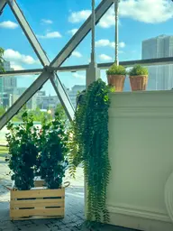Artificial Eucalyptus plant - 36'' H - Green used in the inspiration Shaw Center Img 2303 EN