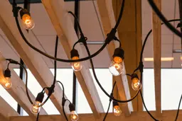 Edison string light - 48' L - Warm white used in the inspiration Lumiere Edison