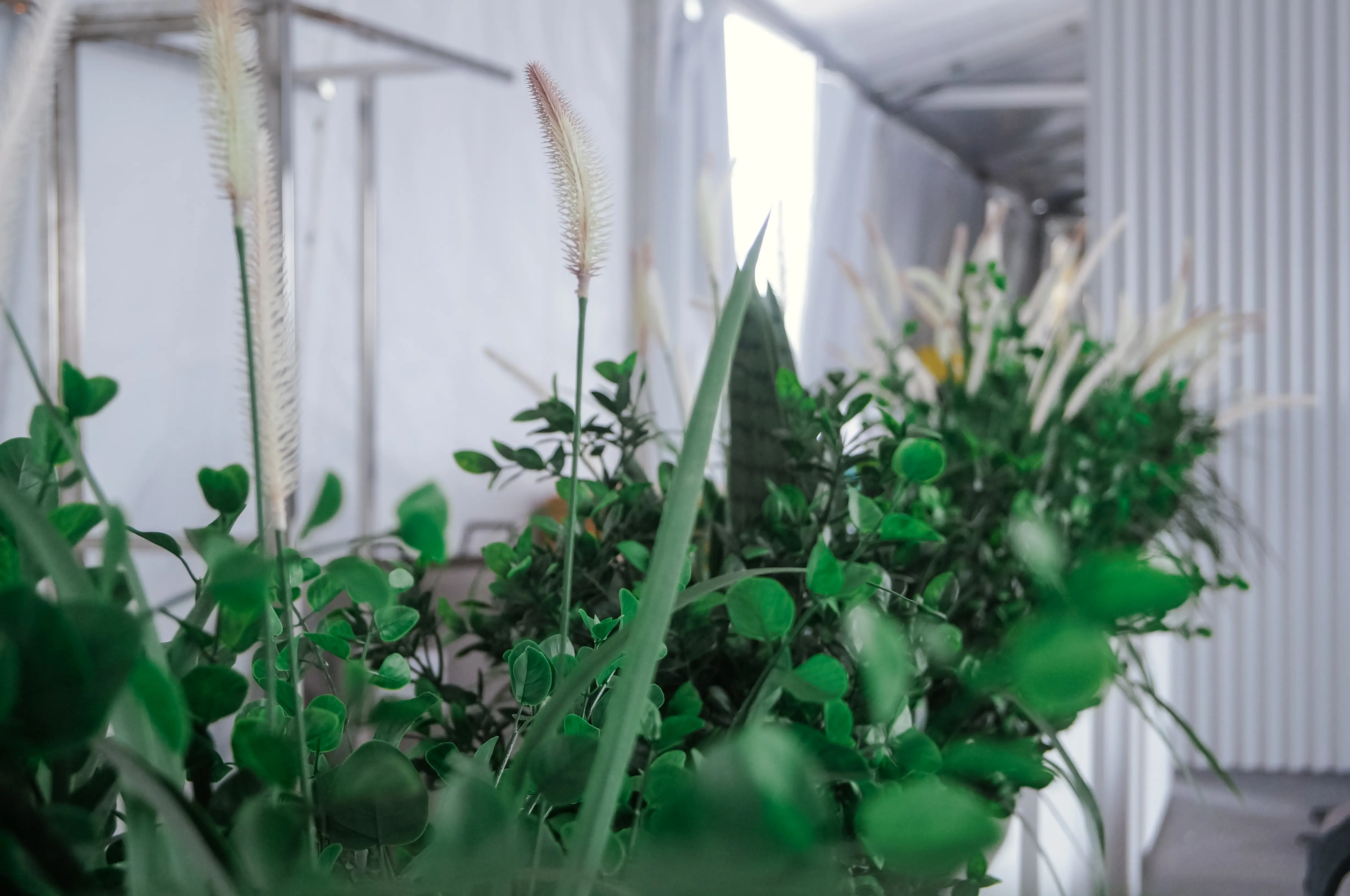 Plante Eucalyptus artificielle - 36" H - Vert utilisé dans le cadre de la réalisation Feq 2024   Salon 010 FR
